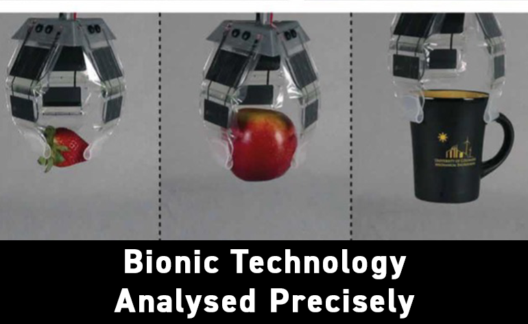 Bionic Technology and High-Speed Imaging