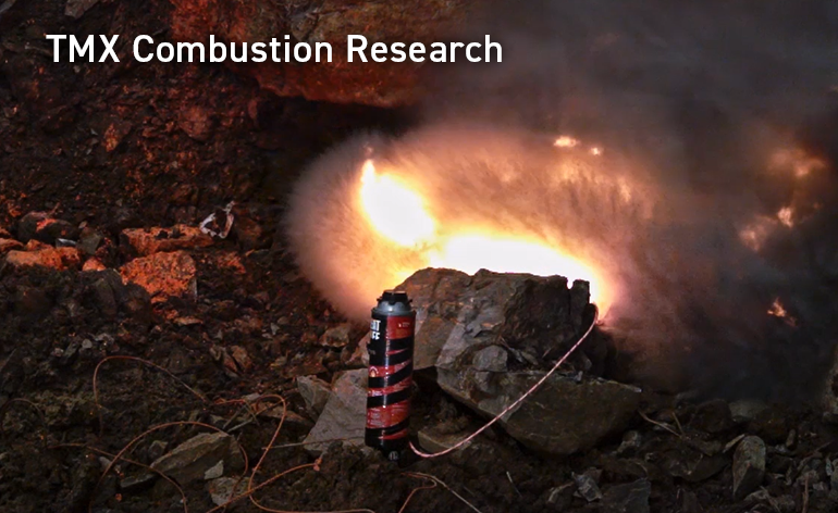 TMX Combustion Research